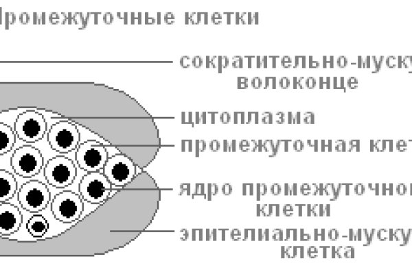 Кракен 13at