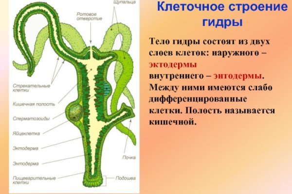 Гидра зайти кракен