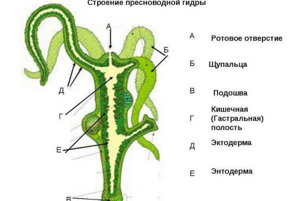 Кракен даркнет что известно