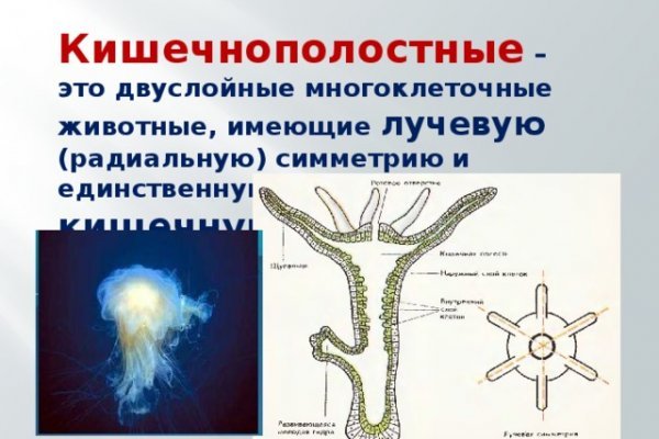 Как регистрироваться и заходить на кракен даркнет